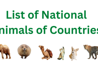 List of National Animals of Countries